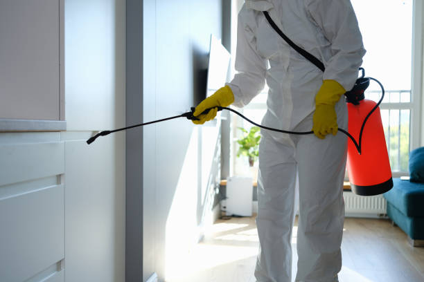 Best Residential Mold Remediation in Pikeville, TN